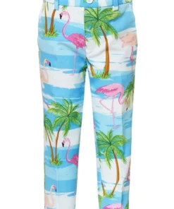 Opposuits Tropisch Flaminguy Jongen Kostuum -Andere Beroepen Winkel osbo 0013 3 10