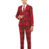 Opposuits Kardinaal Ring Met Rode Steen -Andere Beroepen Winkel ostb 0004 1 9