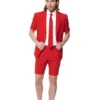 Opposuits Bril, Karakter (Zwart) -Andere Beroepen Winkel osum 0008 1 12 scaled